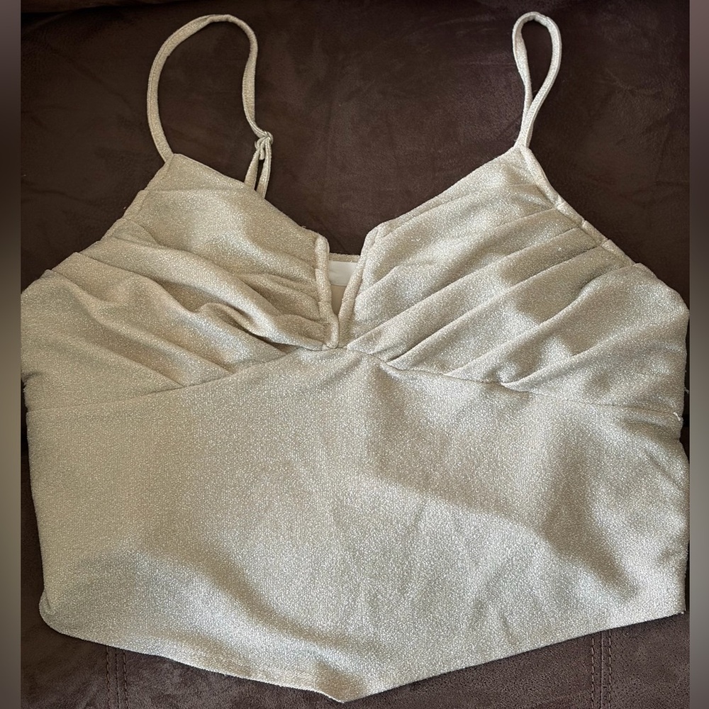 Shimmery Ivory Top